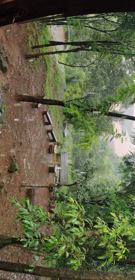 Prithwe Earth Homes Homestay